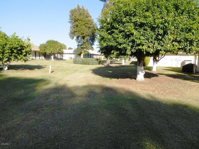 Green Belt Area at Back