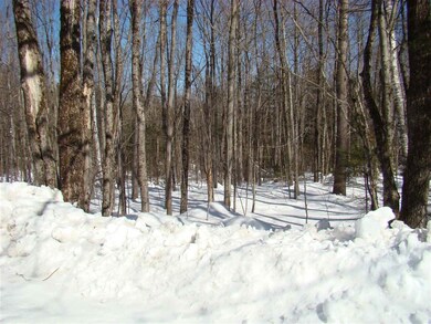 0 Shippee Rd, Readsboro, VT 05350 - photo 3