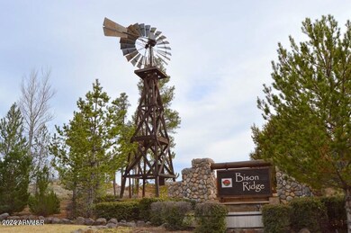 1941 N Bison Ridge Trail, Show Low, AZ 85901 - photo 3