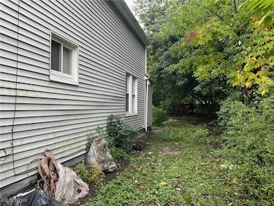 Driveway (North) side of the house