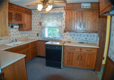 937 La Belle Vue Rd, Vandergrift, PA 15644 - photo 5