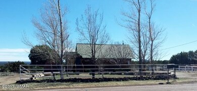 1553 Bourdon Ranch Rd, Show Low, AZ 85901 - photo 2