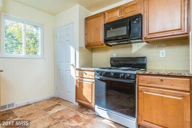 819 Larch Ave, Takoma Park, MD 20912 - photo 6