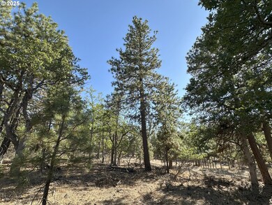 0 Hope Grove unit 430872245, Goldendale, WA 98620 - photo 3