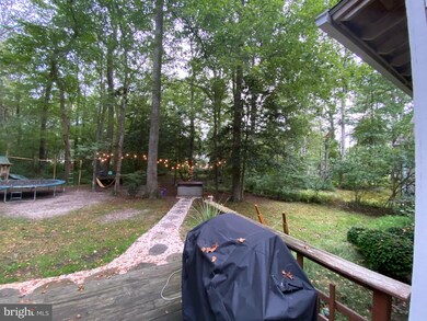 111 Tail of the Fox Dr, Berlin, MD 21811 - photo 2