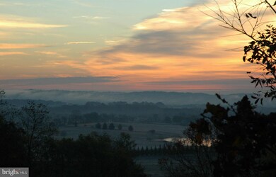15731 Trongate Ct, Leesburg, VA 20176 - photo 5