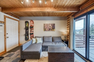 100 Cove Blvd unit B, Dillon, CO 80435 - photo 4