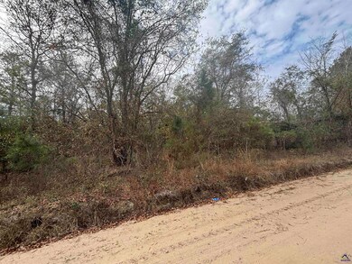 Parcel  A Wiggum Rd & St James Rd, Cochran, GA 31014 - photo 2