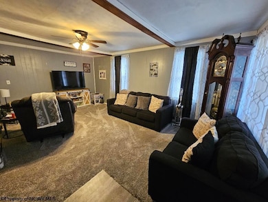 61 Leo Menendez Dr, Meadowbrook, WV 26404 - photo 3