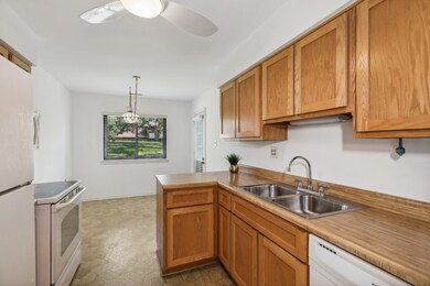 18411 Kimball Ave unit 1B, Homewood, IL 60430 - photo 7
