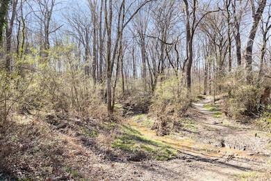 WALKING PATHS