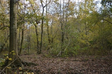 0 Poydras Plant Lot 11 Other unit 2532497, St. Bernard, LA 70092 - photo 2