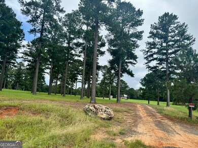 345 Cool Water Rd, Vienna, GA 31092 - photo 4