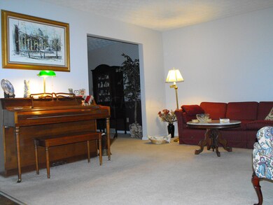 Living Room 1