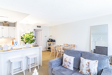 269 Suffolk G unit 269G, Boca Raton, FL 33434 - photo 4