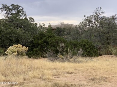 IMG_7955