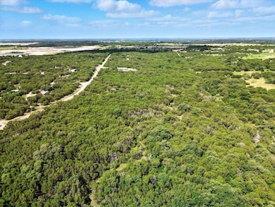 9100 W Bluestem Ct, Cleburne, TX 76033 - photo 6