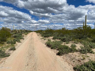 529acres E Hemlock Dr, Marana, AZ 85658 - photo 5