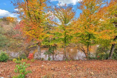 Tyger River behind home