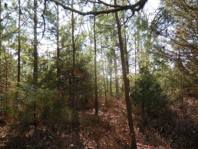 3.35 AC S Highway 71, Winslow, AR 72959 - photo 5