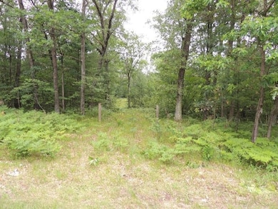 no # 14 Mile Rd, Bitely, MI 49309 - photo 6