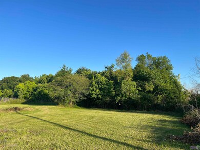 TBD Peter Messina Rd, Addis, LA 70710 - photo 3