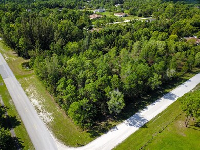 DJI_0218