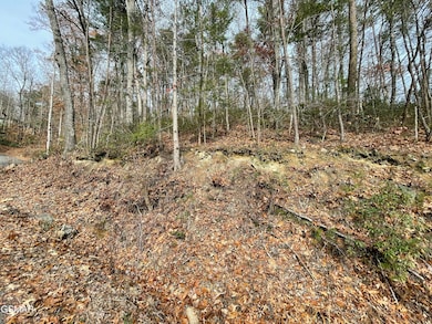 Lot 37R Sugar Mountain Way, Pigeon Forge, TN 37863 - photo 3