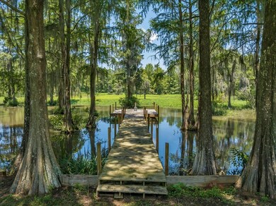 135 Statham Lake Front, Cobb, GA 31735 - photo 4