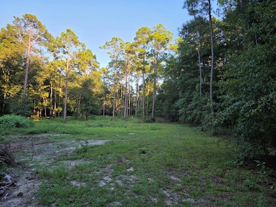 000 Lakeshore Way, Cordele, GA 31015 - photo 5