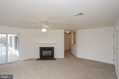 6500 Ridenour Way E unit 1A, Sykesville, MD 21784 - photo 7