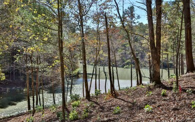 Additional View