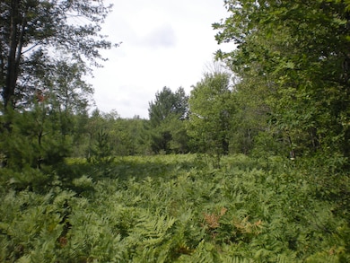 20 Acres Adjoining Pigeon River Forest