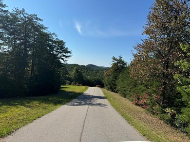 283 Golden Eagle Cir, Turtletown, TN 37391 - photo 7