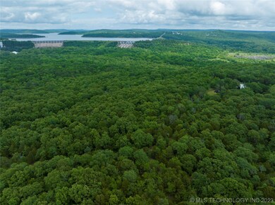 0 Pine Hill Rd, Redbird Smith, OK 74435 - photo 7