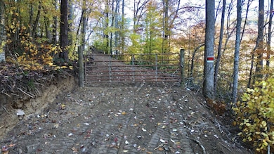 20251104_124811_9A3580