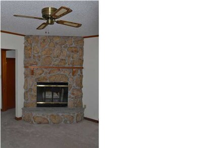 Wood burning fireplace, all stone, and ceiling fan