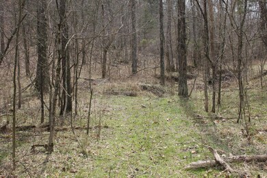 1500 Baxter Ridge Rd, Lawrenceburg, KY 40342 - photo 5