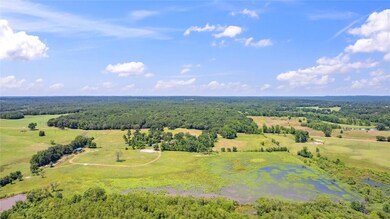 Bird's eye view featuring a rural view