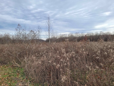 01 Col James Hardin Rd, Clifton, TN 38372 - photo 3