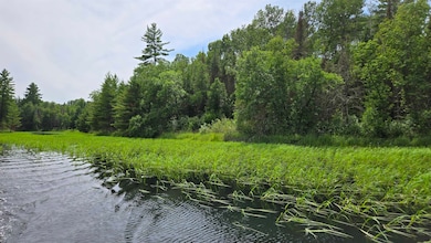 TBD 40N Rollick Creek, Crane Lake, MN 55725 - photo 2