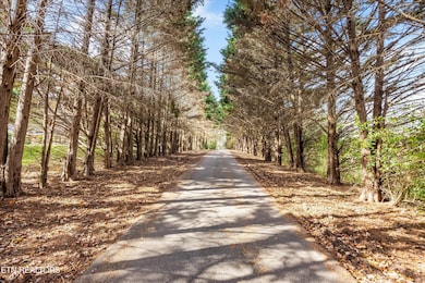 2621 Carpenters Grade Rd, Maryville, TN 37803 - photo 7