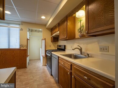 53 5 Holly Dr, Reading, PA 19606 - photo 5