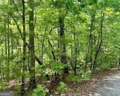 0 Hillbilly Holler unit 10349381, Blue Ridge, GA 30513 - photo 5