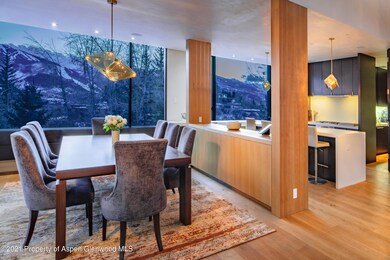 979 Red Mountain Rd, Aspen, CO 81611 - photo 2