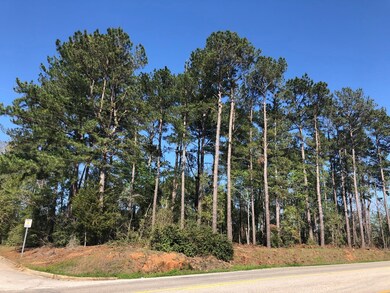 4460 Flowers Chapel Rd, Dothan, AL 36305 - photo 4