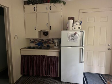 2535 W Wilderness Way, Baldwin, MI 49304 - photo 7