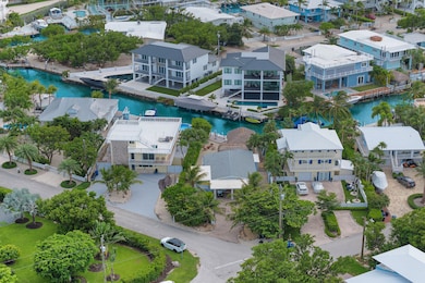 Aerial 1