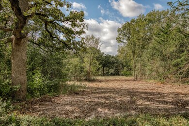 Tract 4 Sun Oil Rd, Brenham, TX 77833 - photo 4