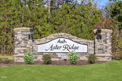 KBRAL_Aster_Ridge_Monument4933-11x (3)